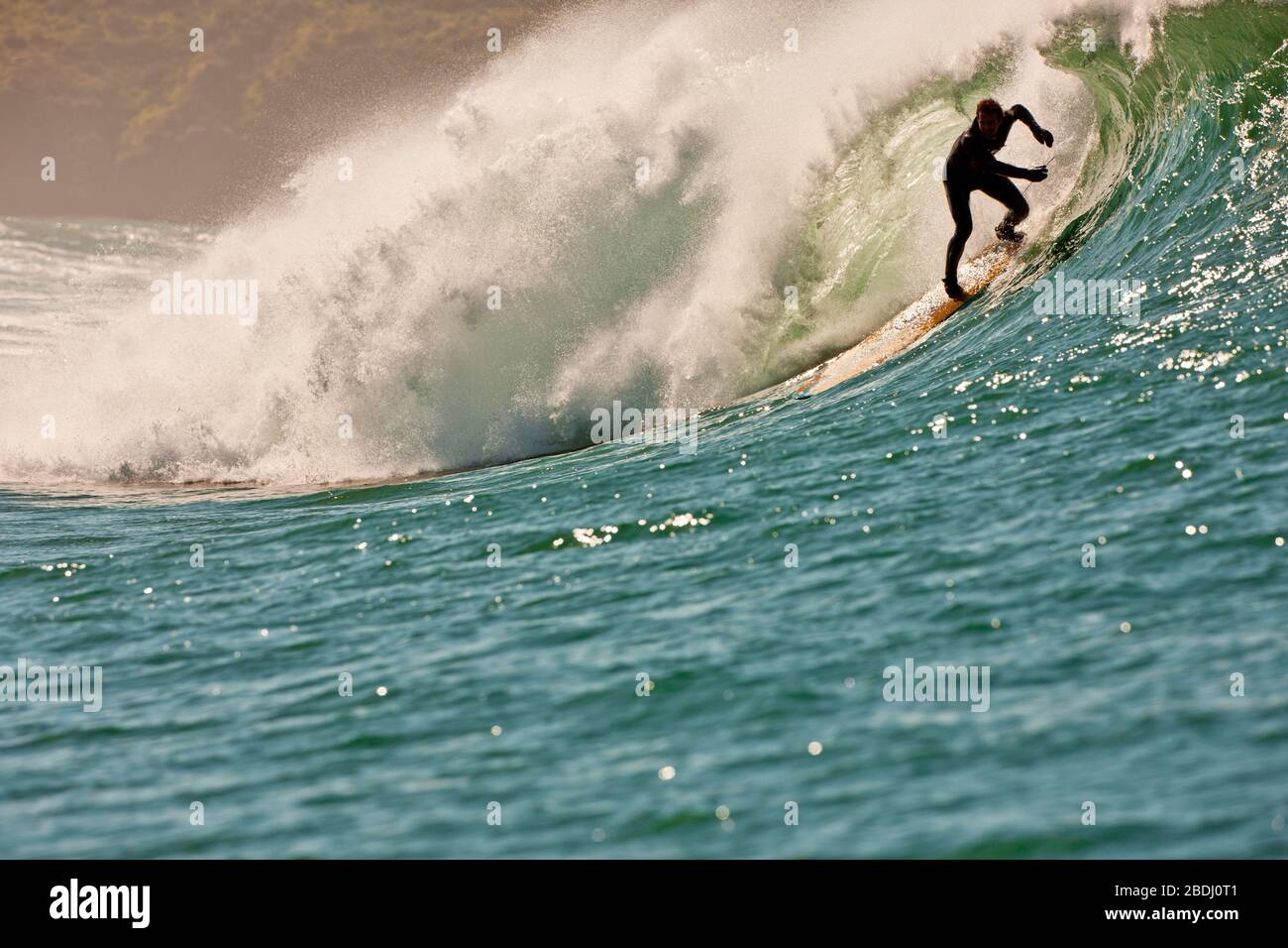Surfer catching a wave Stock Photo Alamy