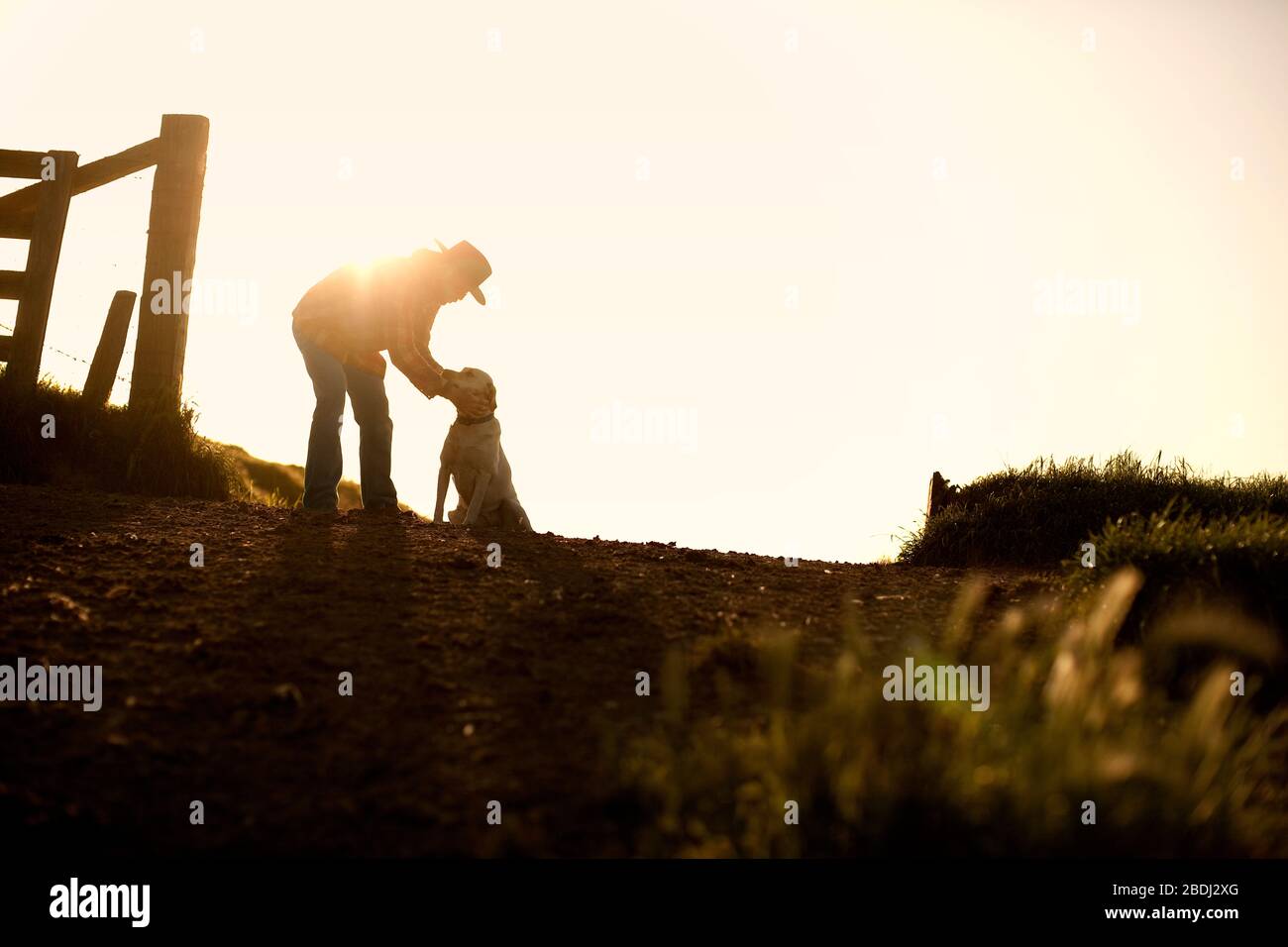 Mid-adult farmer bending down to pat his dog next to a fence post on a dirt road on a farm. Stock Photo