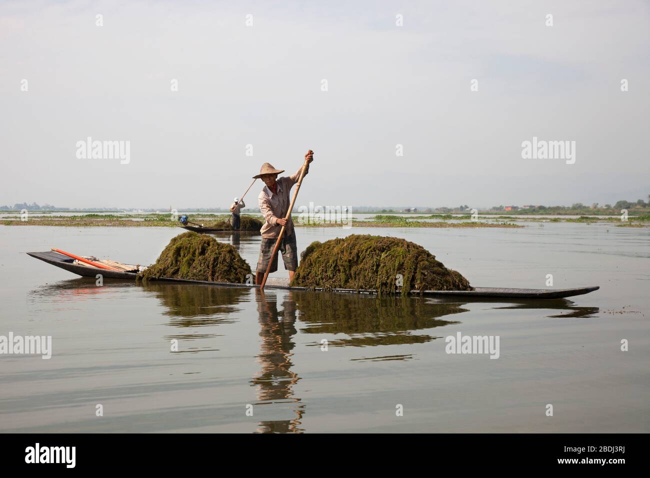 Algae lakes asia hi-res stock photography and images - Alamy