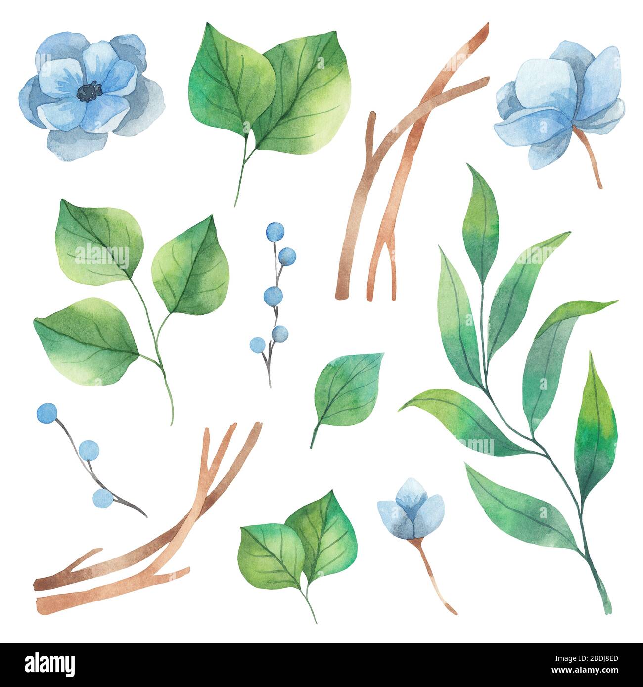 Spring watercolor set of floral elements from green leaves and blue ...