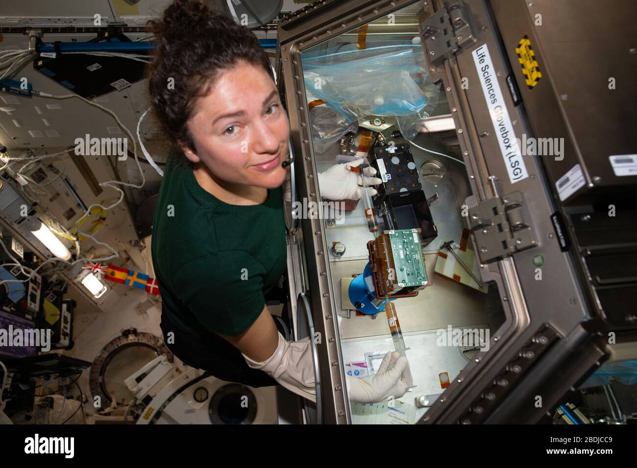 ISS - 26 March 2020 - NASA astronaut and Expedition 62 Flight Engineer Jessica Meir conducts cardiac research inside the Life Sciences Glovebox, a bio Stock Photo