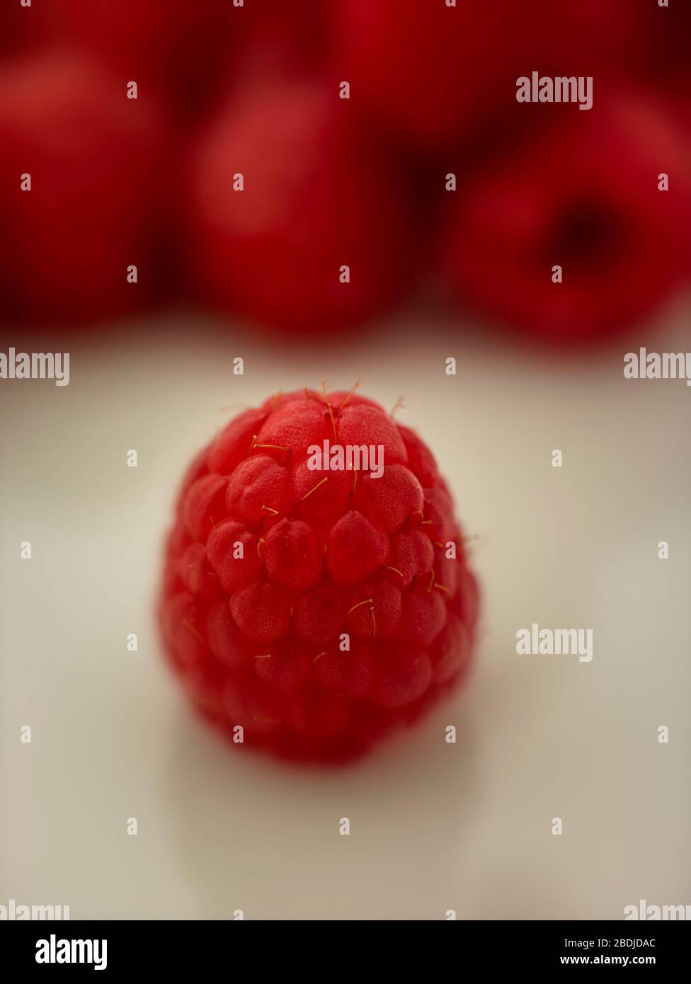 Raspberry fruit single and group food portrait on plain background Stock Photo