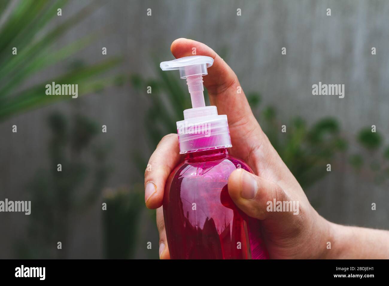 Sterilizing High Resolution Stock Photography and Images Alamy