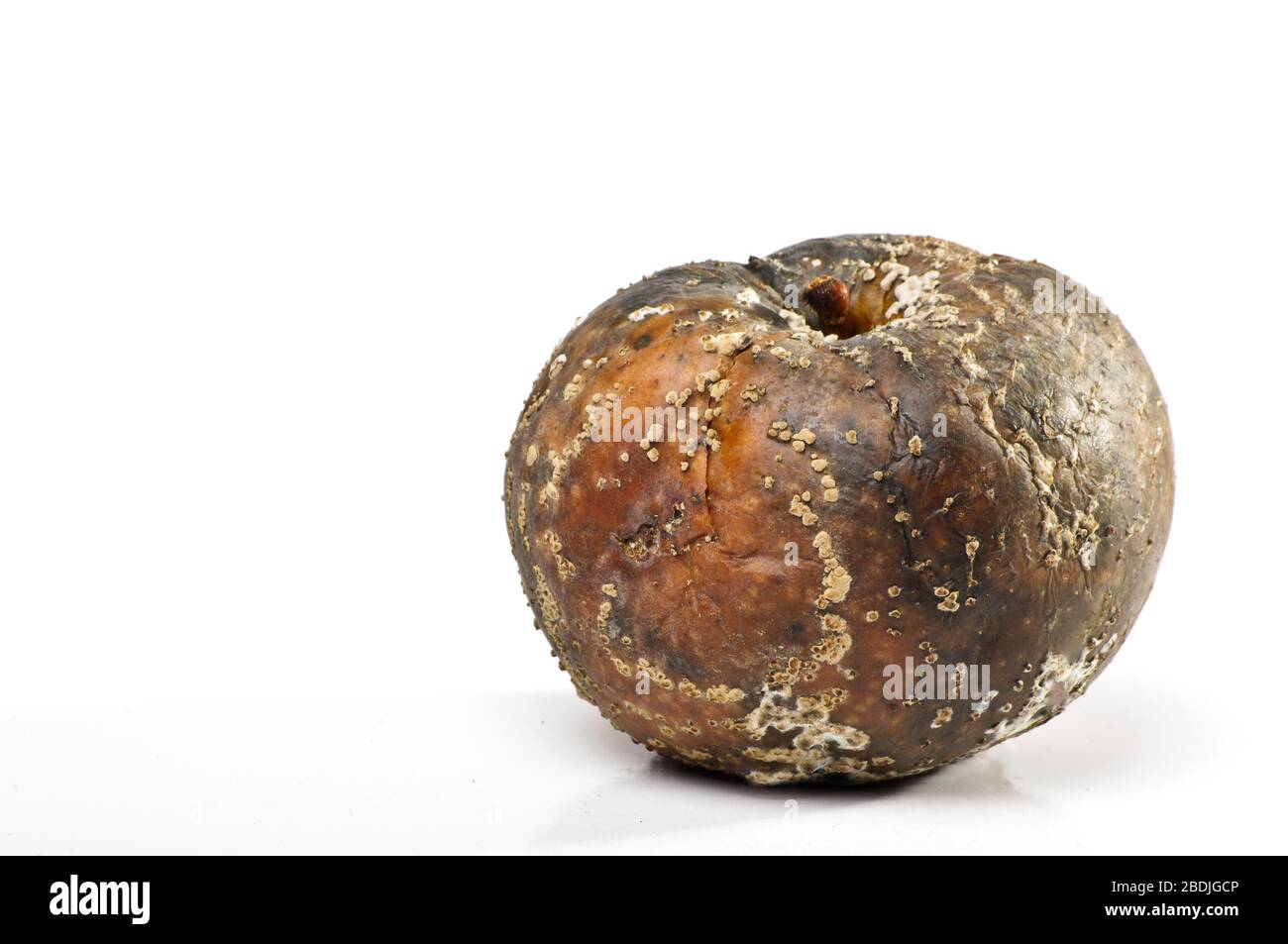 Rotten apple isolated on the white background Stock Photo