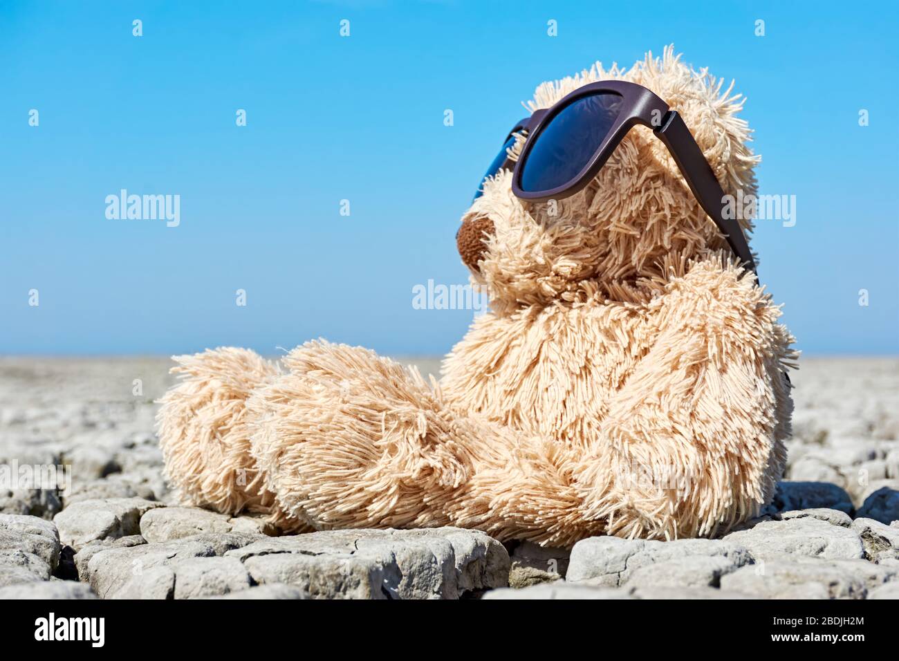 Teddy bear with sunglasses. Lonely teddy bear sitting on dry cracked