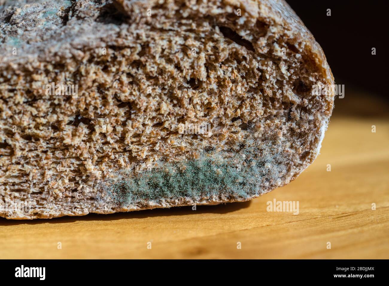 Penicillium sp. mould on bread - mouldy loaf of bread Stock Photo