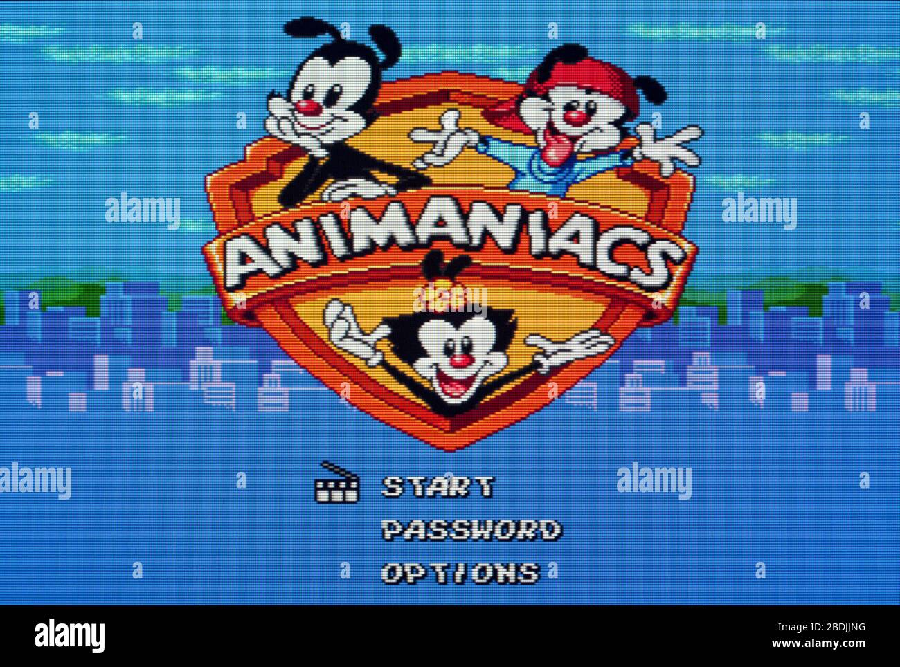 Animaniacs - Sega Genesis Mega Drive - Editorial use only