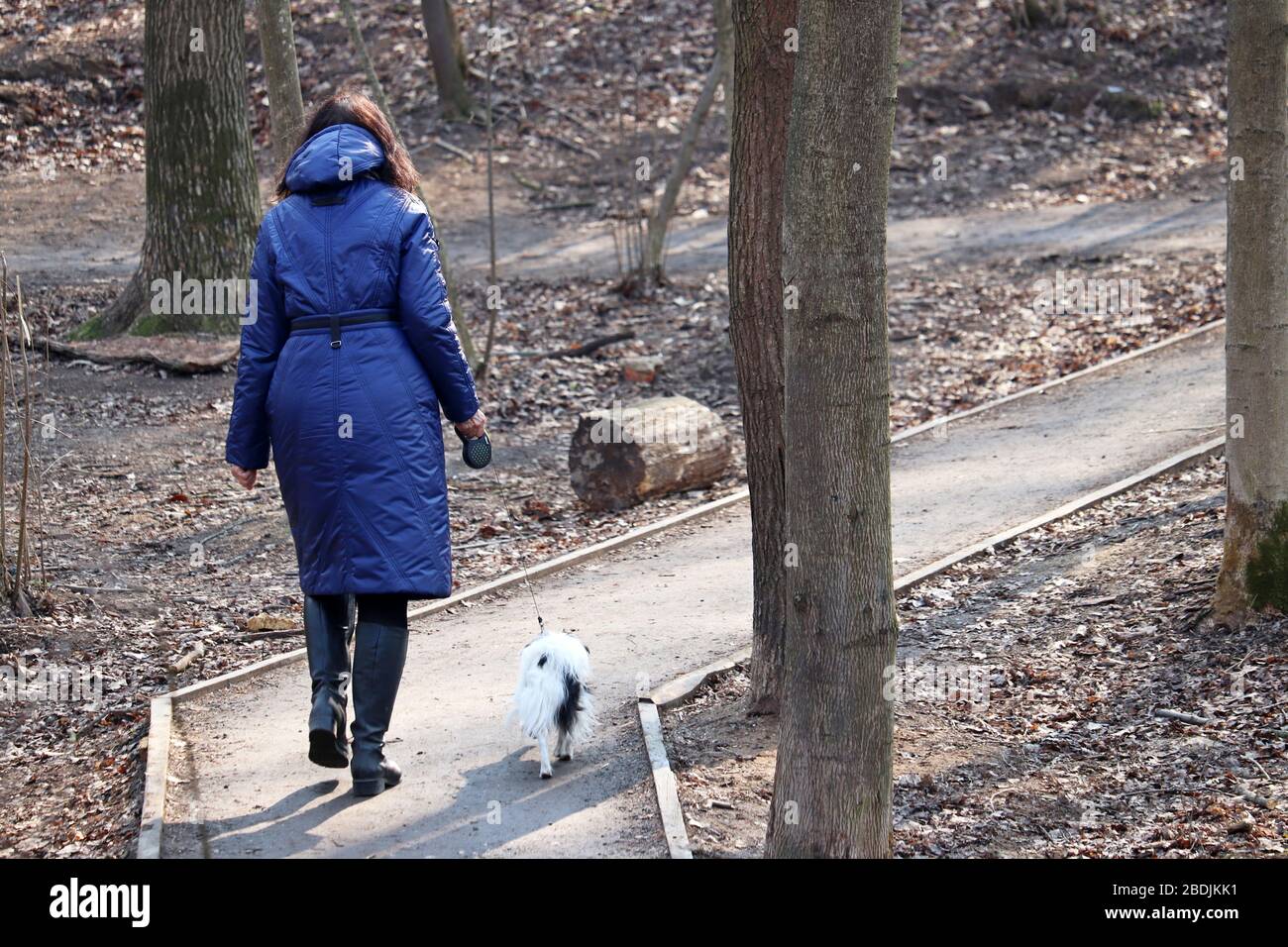 Woman walking a dog on a leash in a spring park. Concept of care for a pet Stock Photo