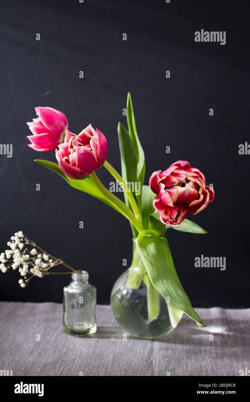 Three red terry tulips in a round vase with small pharmaceutical bottles on a black background Stock Photo