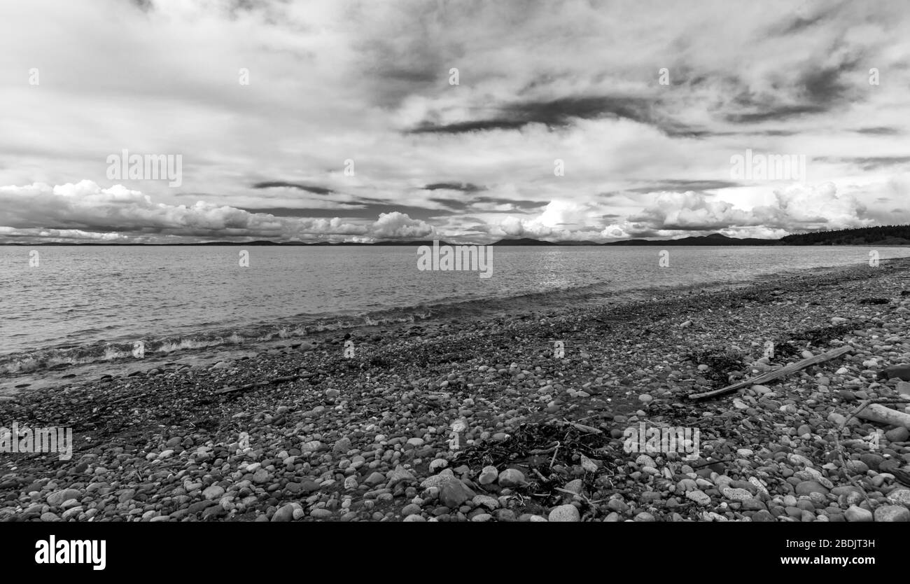 Whidbey island at low tide hires stock photography and images Alamy