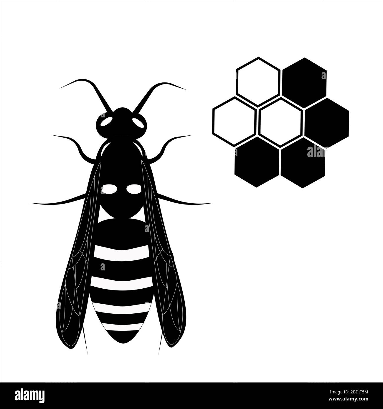 Wasp. Honey bee. Botany illustration. Insect animal, exotic. Vector isolated on white backdrop. Honeycomb. Stock Vector