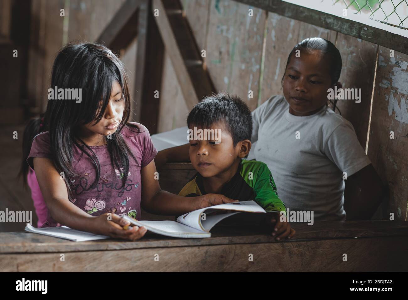 Indigenous kids learning, Shiwiar Territory, Ecuador Stock Photo