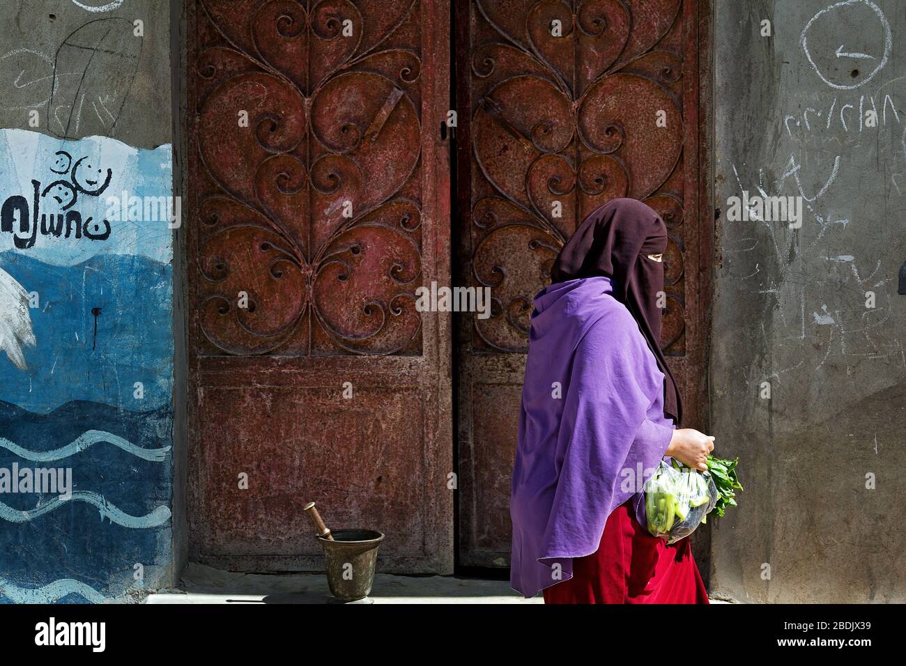 Tunis village. Oasis Fayoum. Egypt Stock Photo Alamy