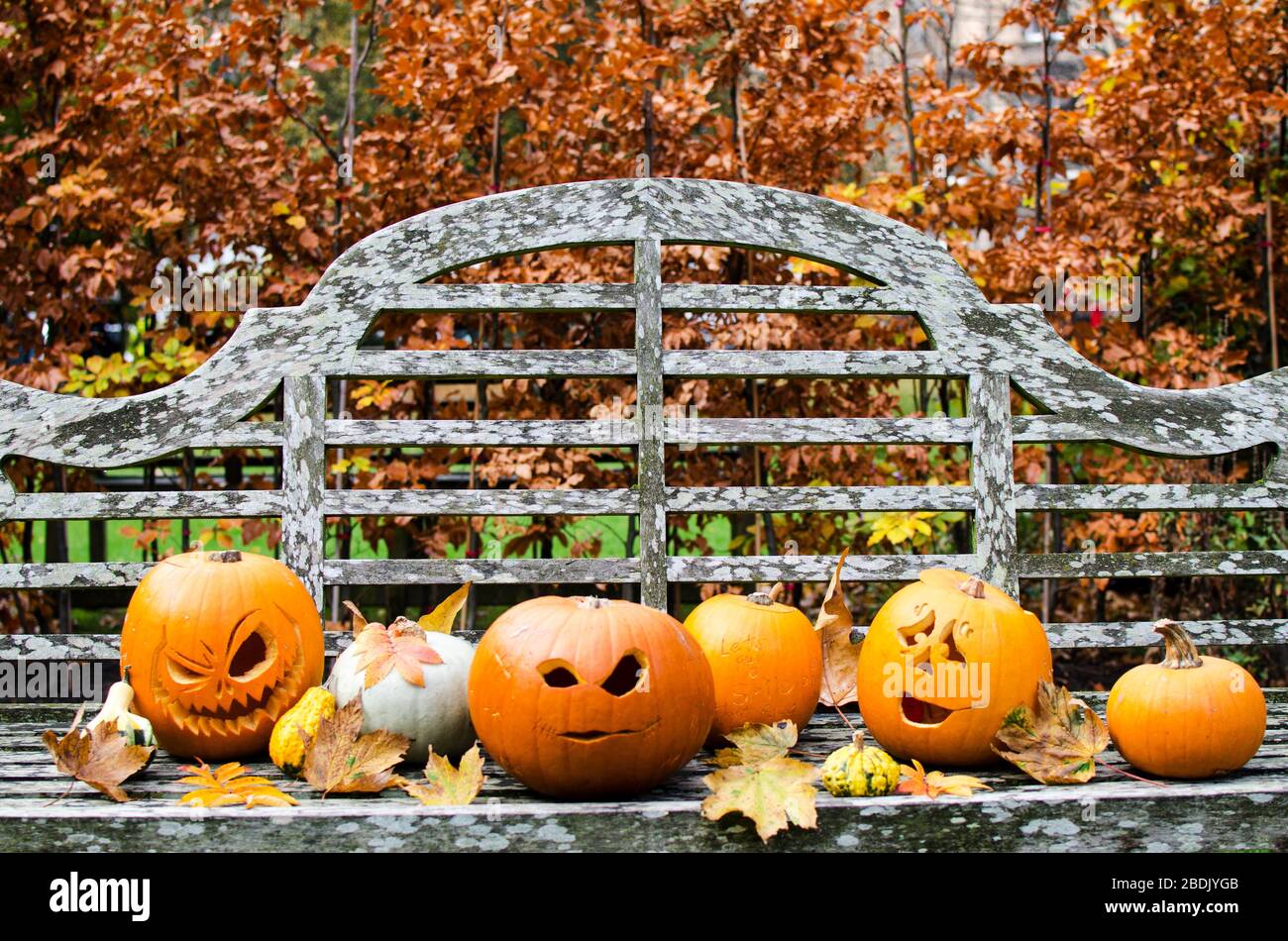 Carved Halloween Pumpkin Displays in a Park Stock Photo - Alamy