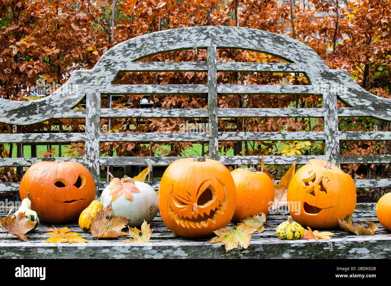 Carved Halloween Pumpkin Displays in a Park Stock Photo - Alamy