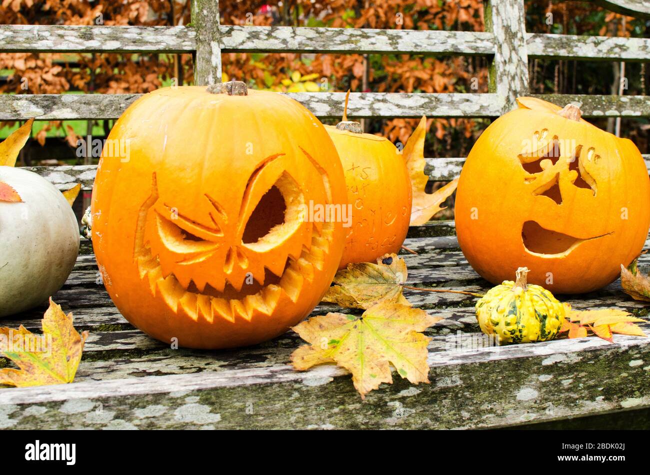 Carved Halloween Pumpkin Displays in a Park Stock Photo - Alamy