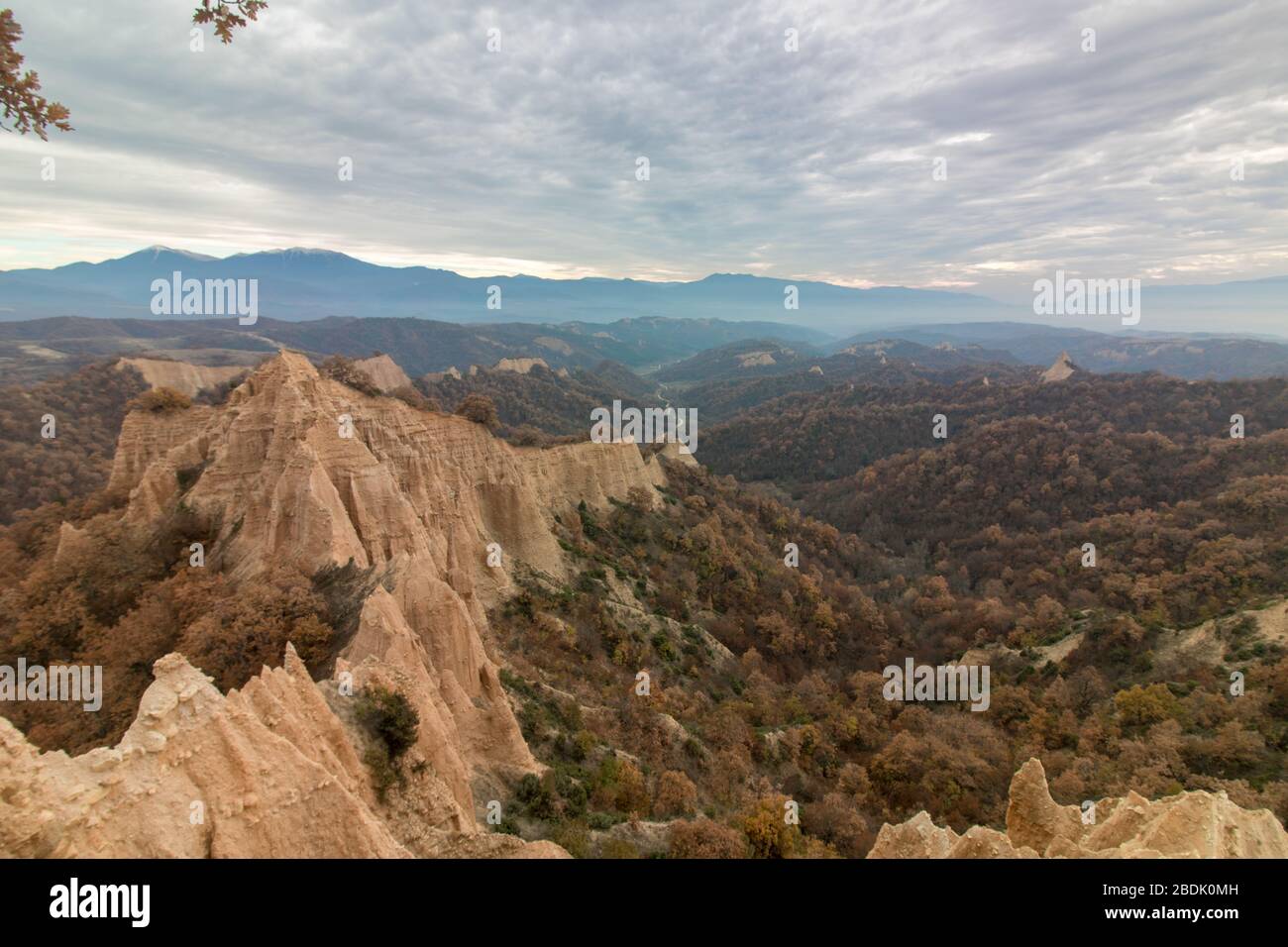 Leaves fall down in the mountain. Stock Photo