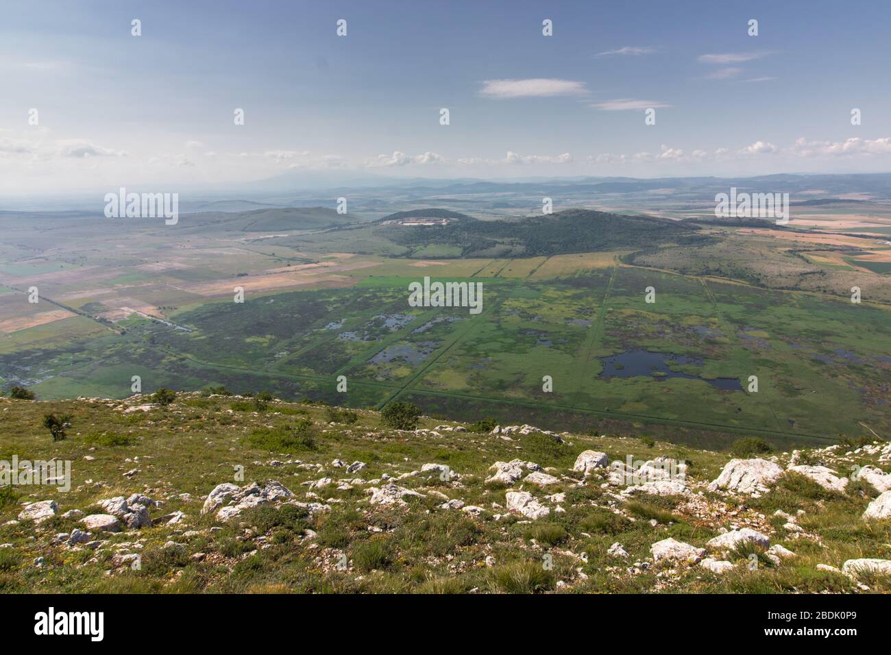 Look from above to the swamp Stock Photo - Alamy