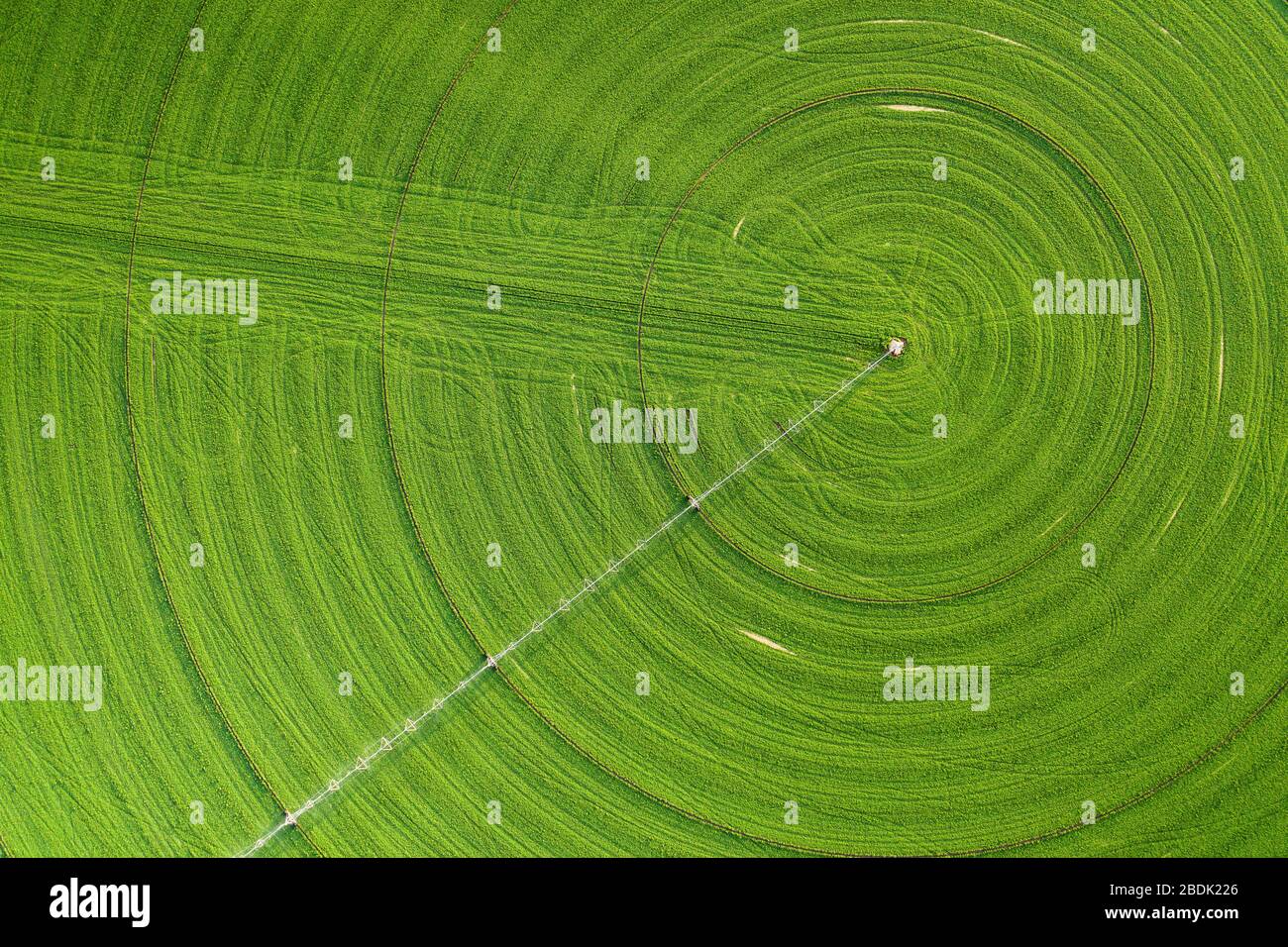 Green Crop Circles Grow in a Remove Nevada Desert Stock Photo Alamy