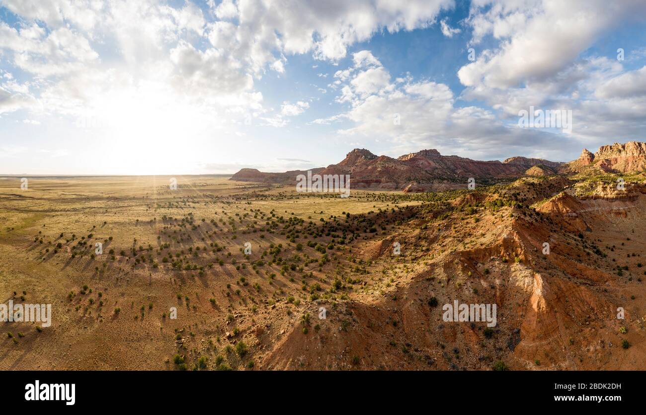 Aerials over Arizona desert During Sunset and Trees Cast Long Shadow