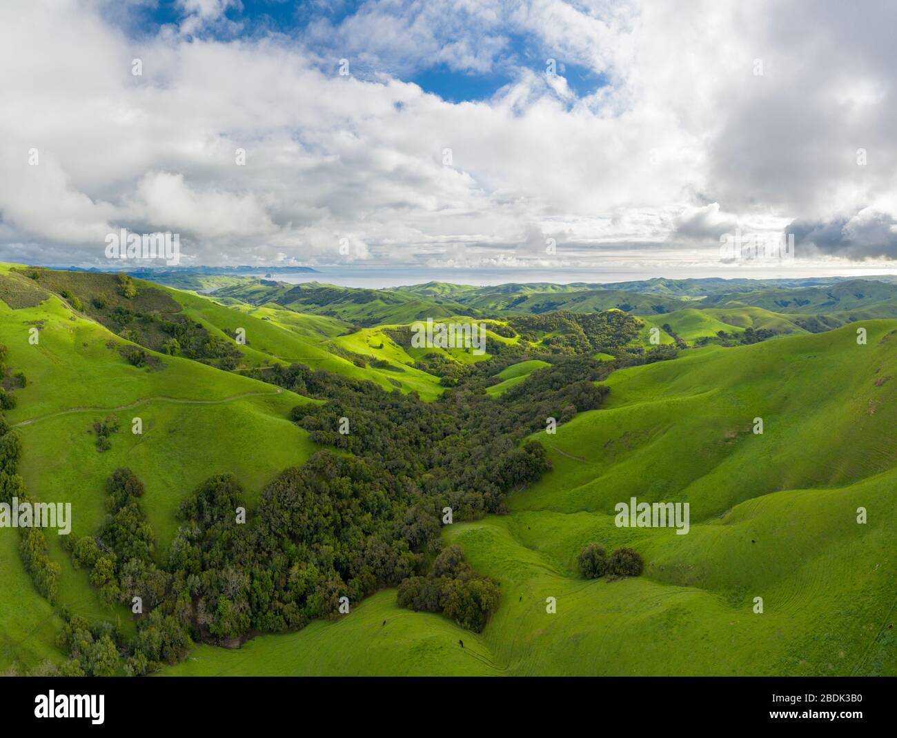 Green Rolling Hills Idyllic Scene in California After Heavy Spri Stock Photo