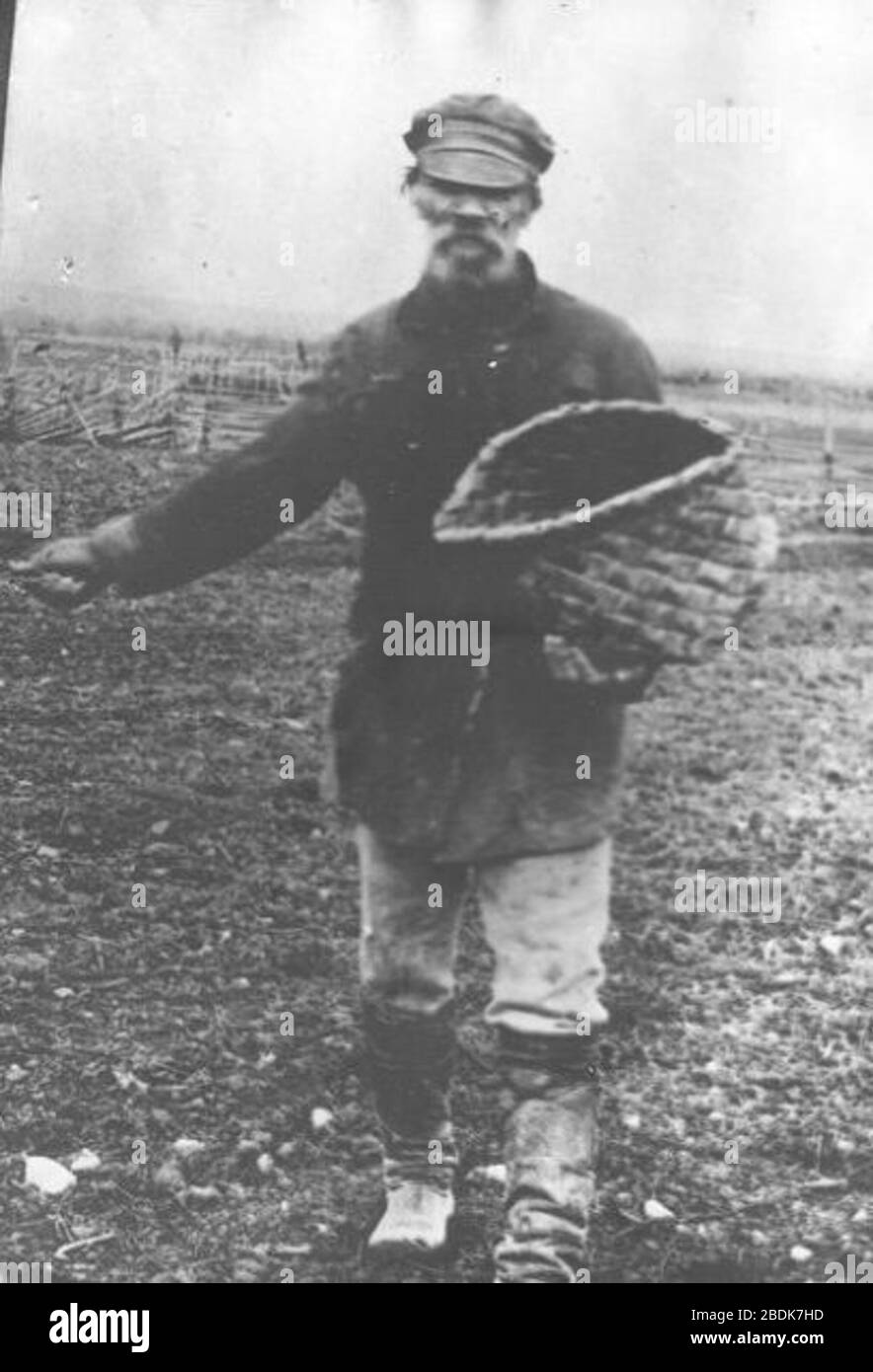 стишки сею вею посеваю. крестьянин сеятель. фото как сеяли в ссср. анатолий скурихин. сеятель в старину.
