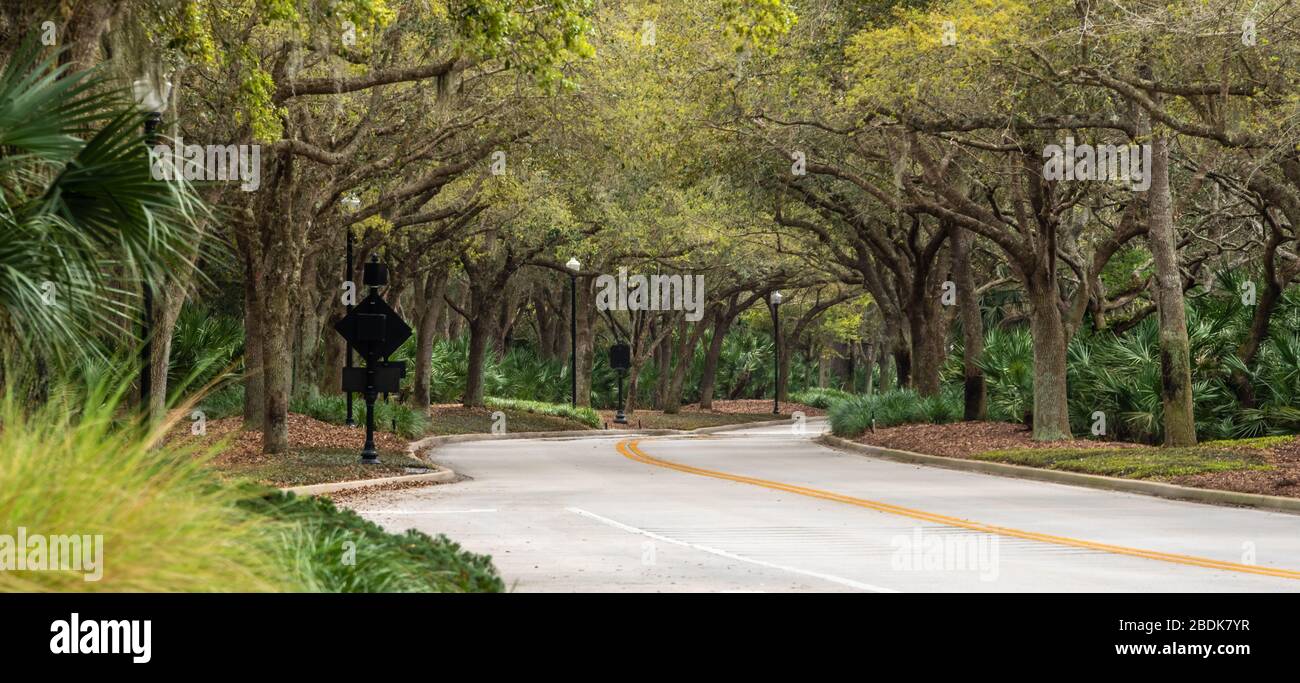 Beautiful tree-canopied Hammock Dunes Parkway in Palm Coast, Florida. (USA) Stock Photo