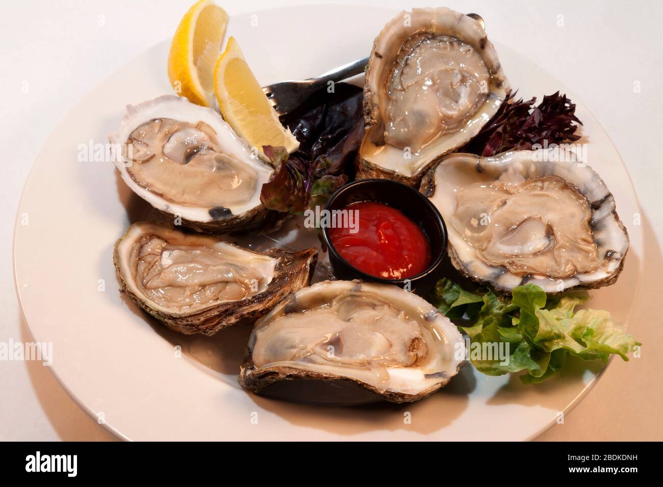 Oysters on the half shell, by James D Coppinger/Dembinsky Photo Assoc Stock Photo