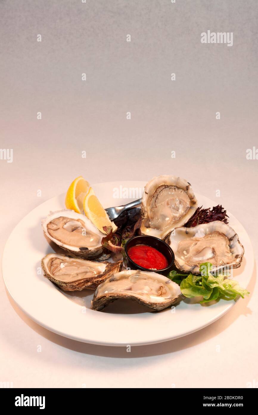 Oysters on the half shell, by James D Coppinger/Dembinsky Photo Assoc Stock Photo