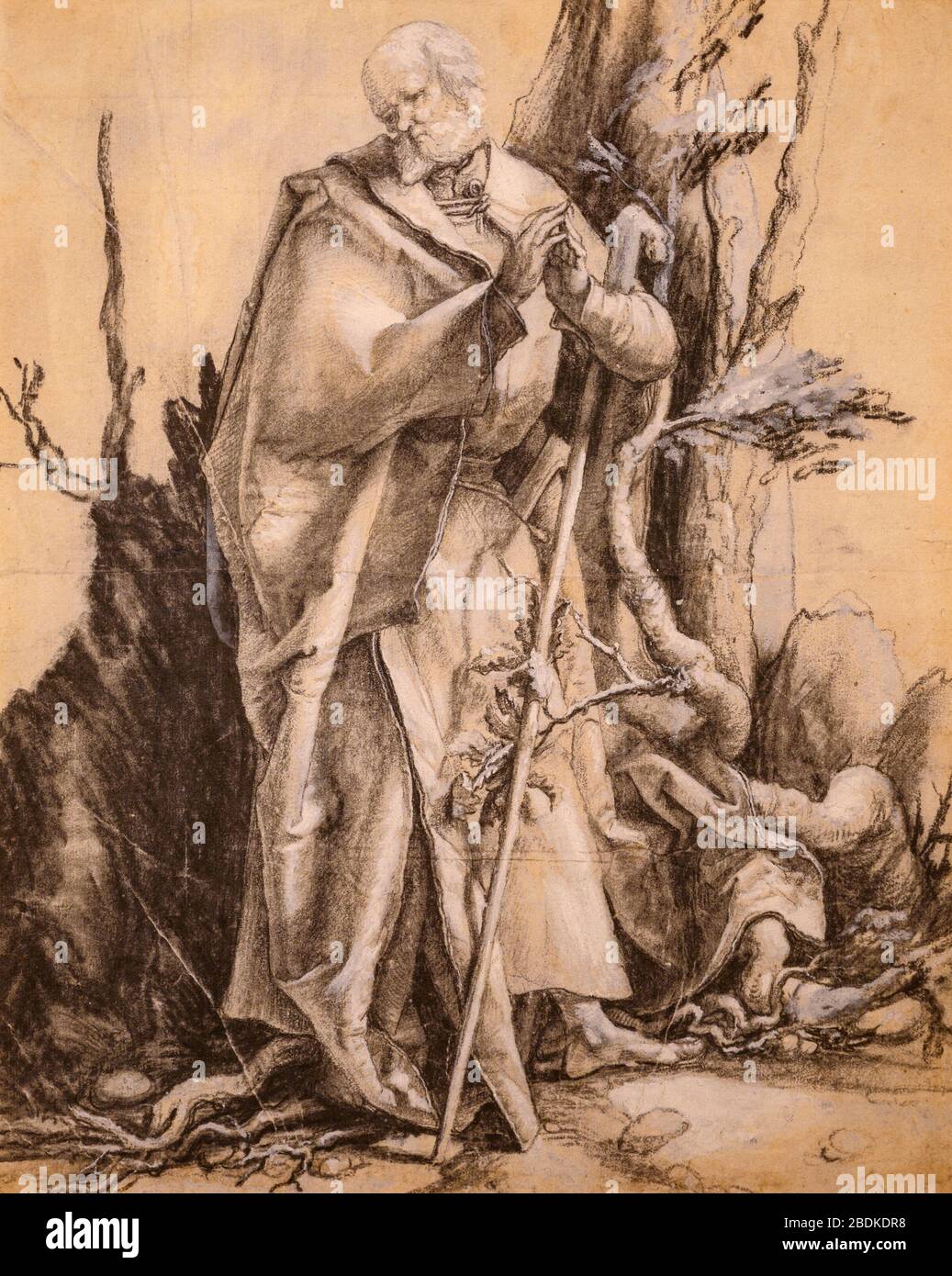 'Bearded Saint in a Forest' (c. 1516) by Matthias Grünewald (1470–1529) previously attributed to Albrecht Dürer (1471 – 1528).Black chalk, heightened. Stock Photo