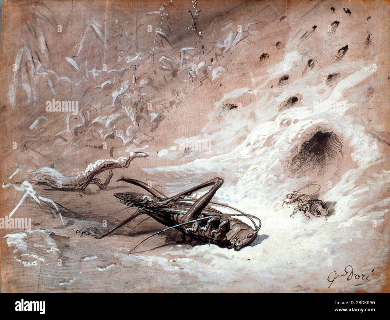 Gustave Dore La Cigale Et La Fourmi Stock Photo Alamy