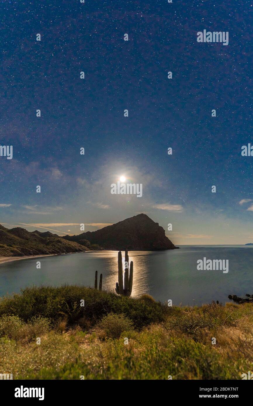 night of stars and moonlight on El Colorado beach, Sonora Mexico. Sonora desert, very similar to the Arizona and Baja California desert. Gulf of Calif Stock Photo