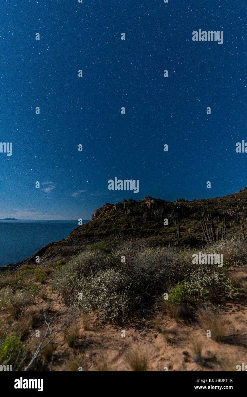 night of stars and moonlight on El Colorado beach, Sonora Mexico. Sonora desert, very similar to the Arizona and Baja California desert. Gulf of Calif Stock Photo