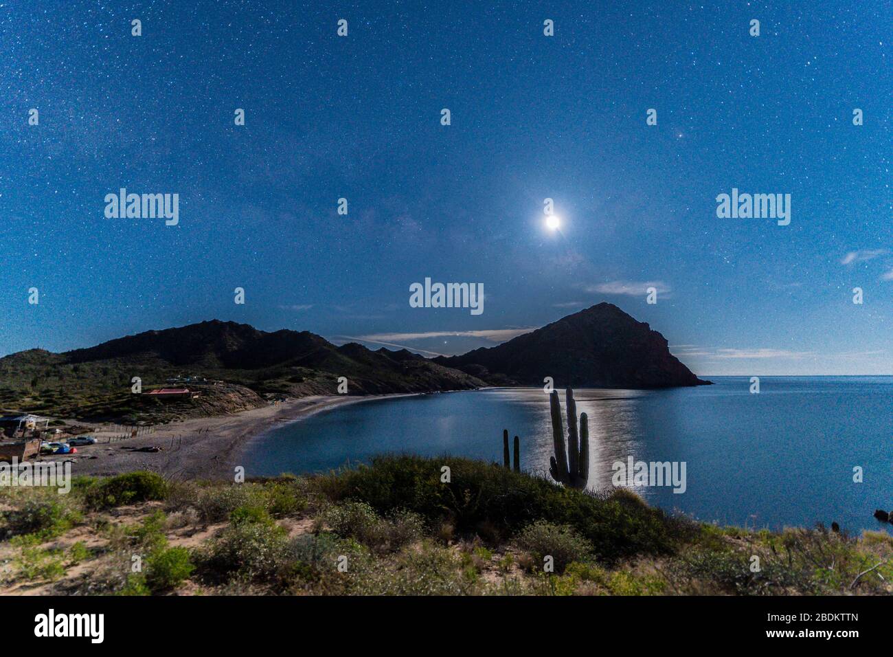 night of stars and moonlight on El Colorado beach, Sonora Mexico. Sonora desert, very similar to the Arizona and Baja California desert. Gulf of Calif Stock Photo