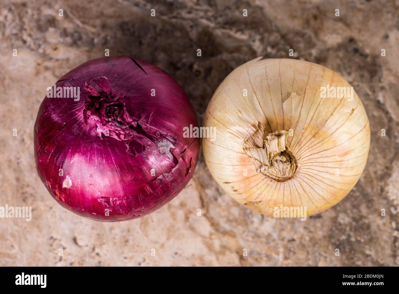 A red and white Raw onion from above Stock Photo