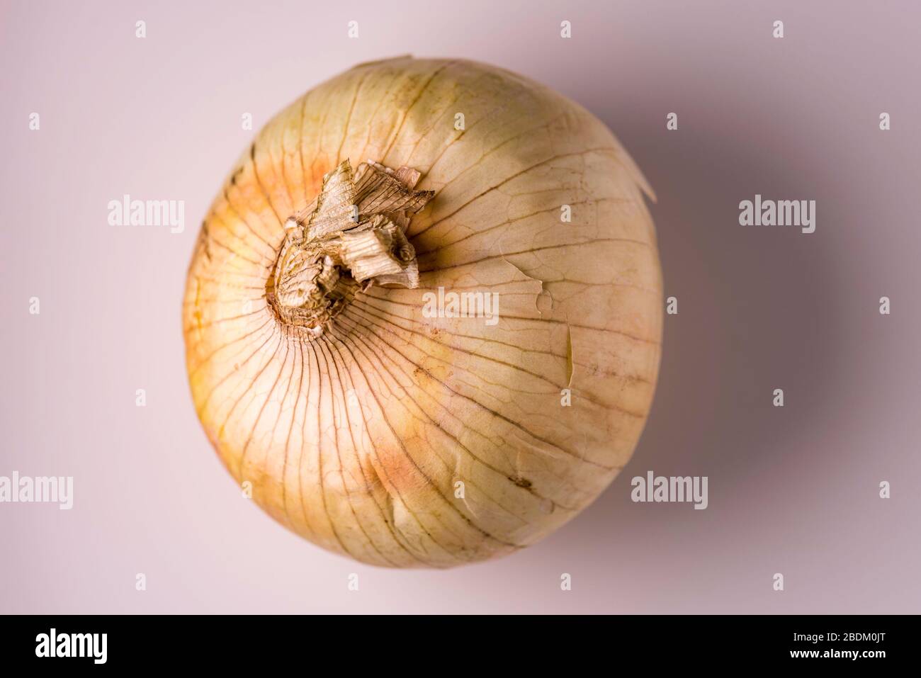 Raw onion from above Stock Photo