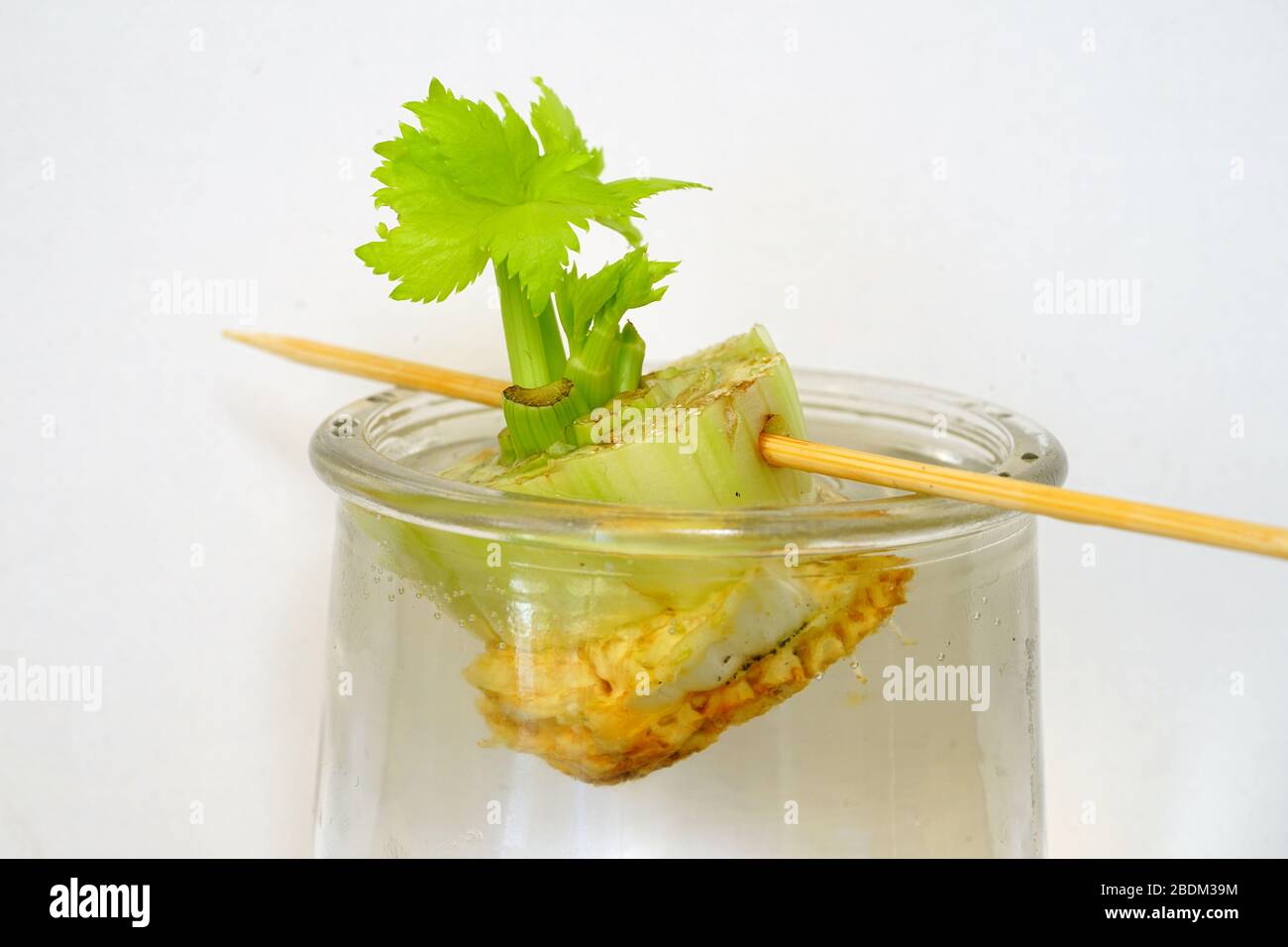 Rooting jar hires stock photography and images Alamy