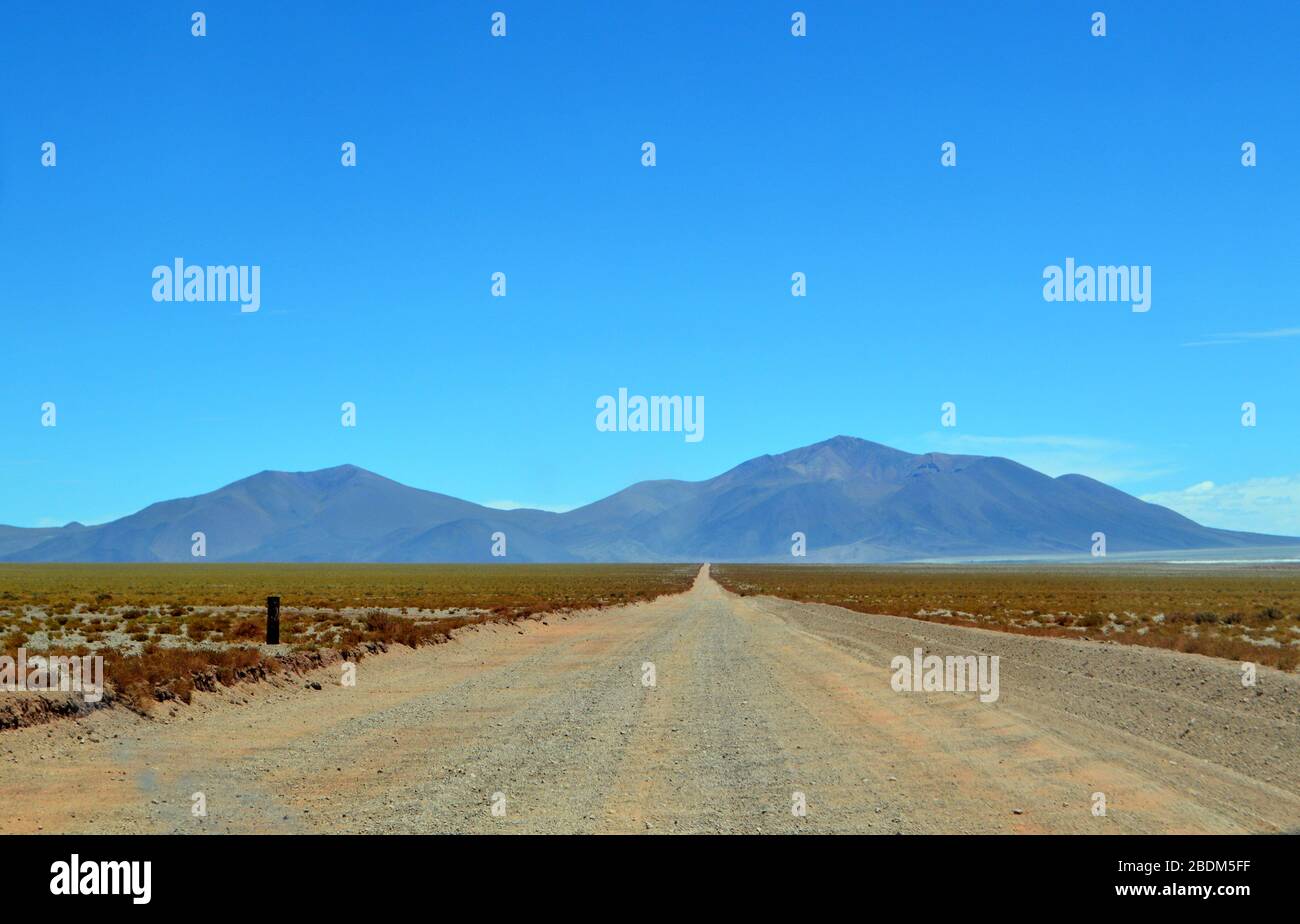 Provincial route 27 crossing the valley of the Pocitos salt flat. Salta, Argentina Stock Photo