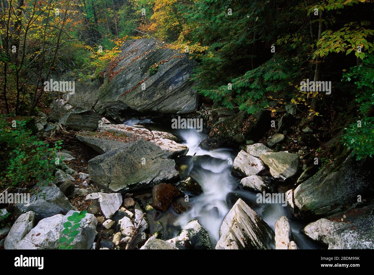 Hudson Brook, Natural Bridge State Park, Massachusetts Stock Photo