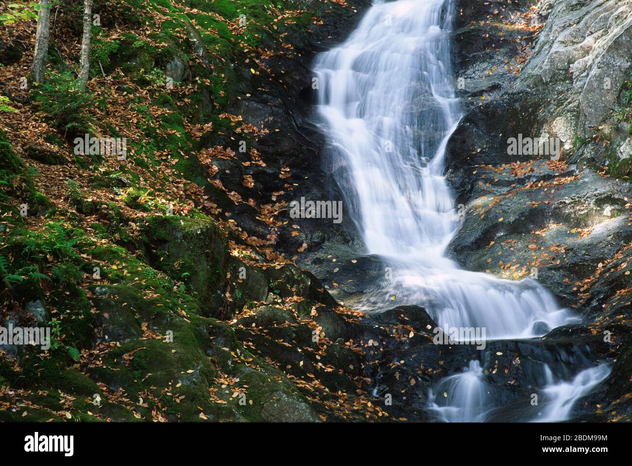 Tannery Falls, Savoy Mountain State Forest, Massachusetts Stock Photo