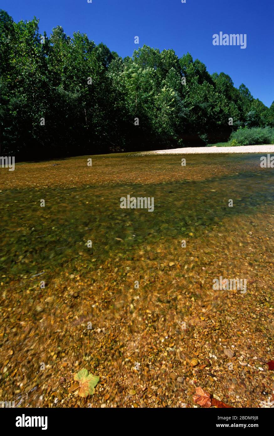 Jacks Fork, Ozark National Scenic Riverways, Missouri Stock Photo Alamy