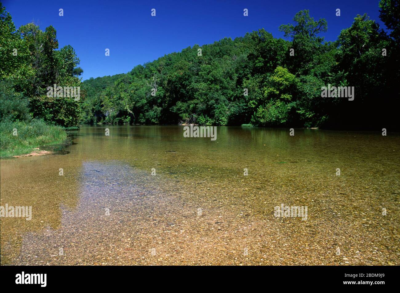 Current River Missouri High Resolution Stock Photography And Images Alamy