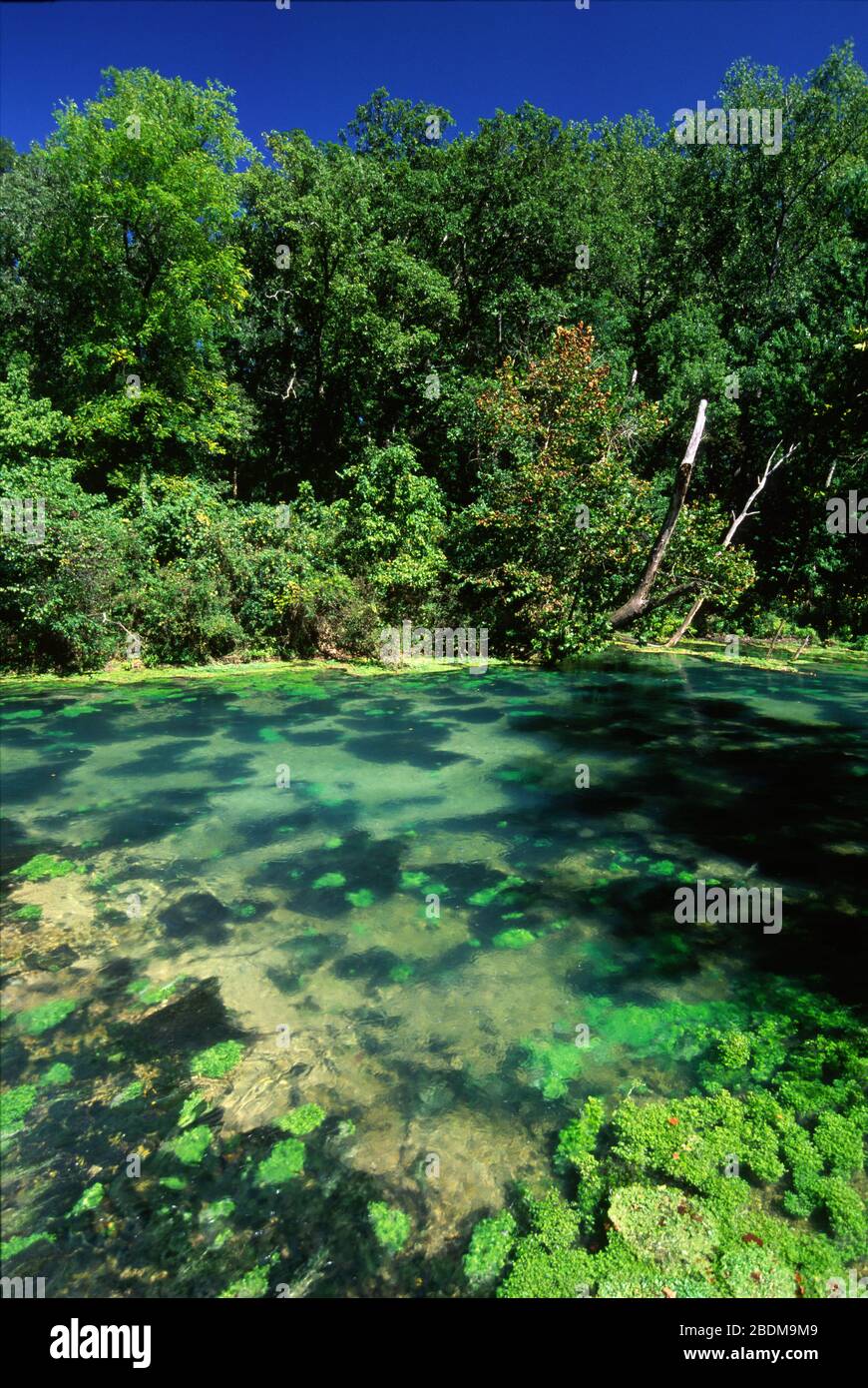 Big Spring, Ozark National Scenic Riverways, Missouri Stock Photo Alamy