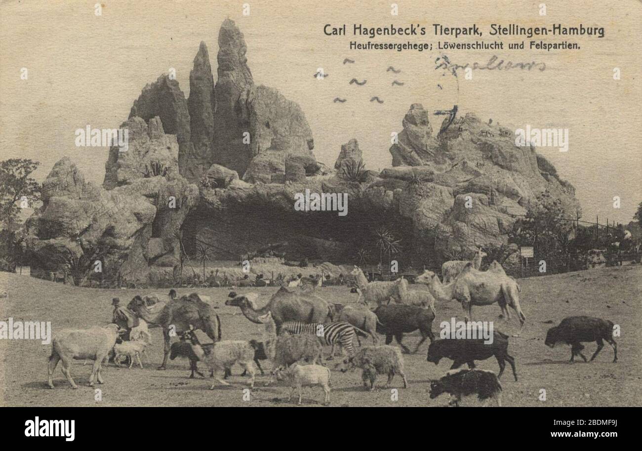 Carl Hagenbecks Tierpark High Resolution Stock Photography and Images