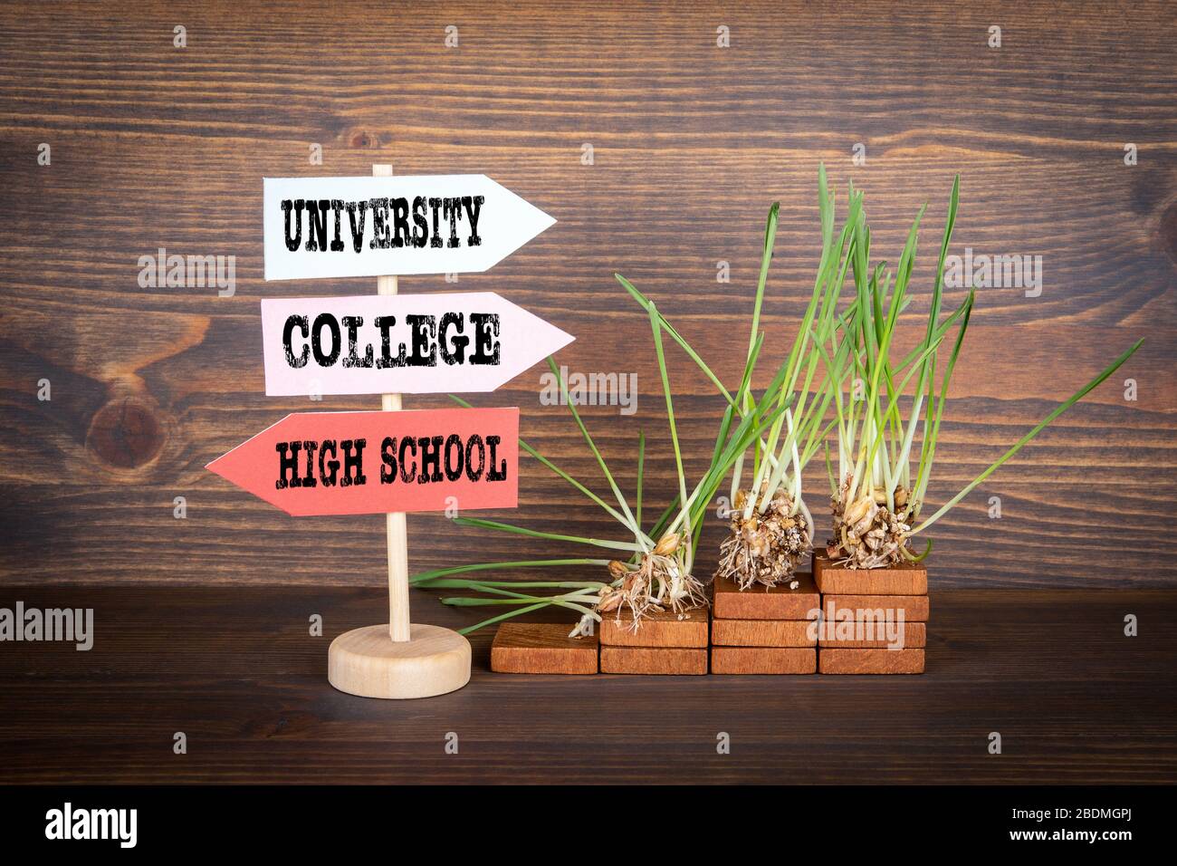 High School, College and University. Career planning and skills concept ...