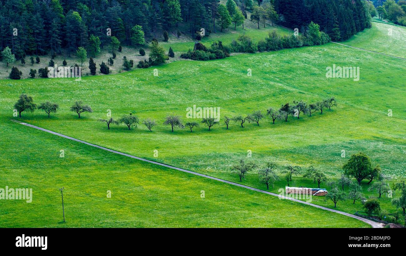 Alblandschaft bei Reichenbach im Täle, LKR Göppingen Stock Photo