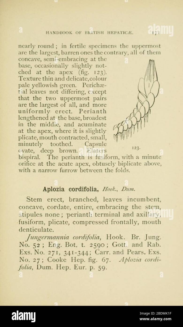 Handbook of British Hepatic containing descriptions and figures of the indigenous species of Marchantia, Jungermannia, Riccia, and Anthoceros (Page 171) Stock Photo