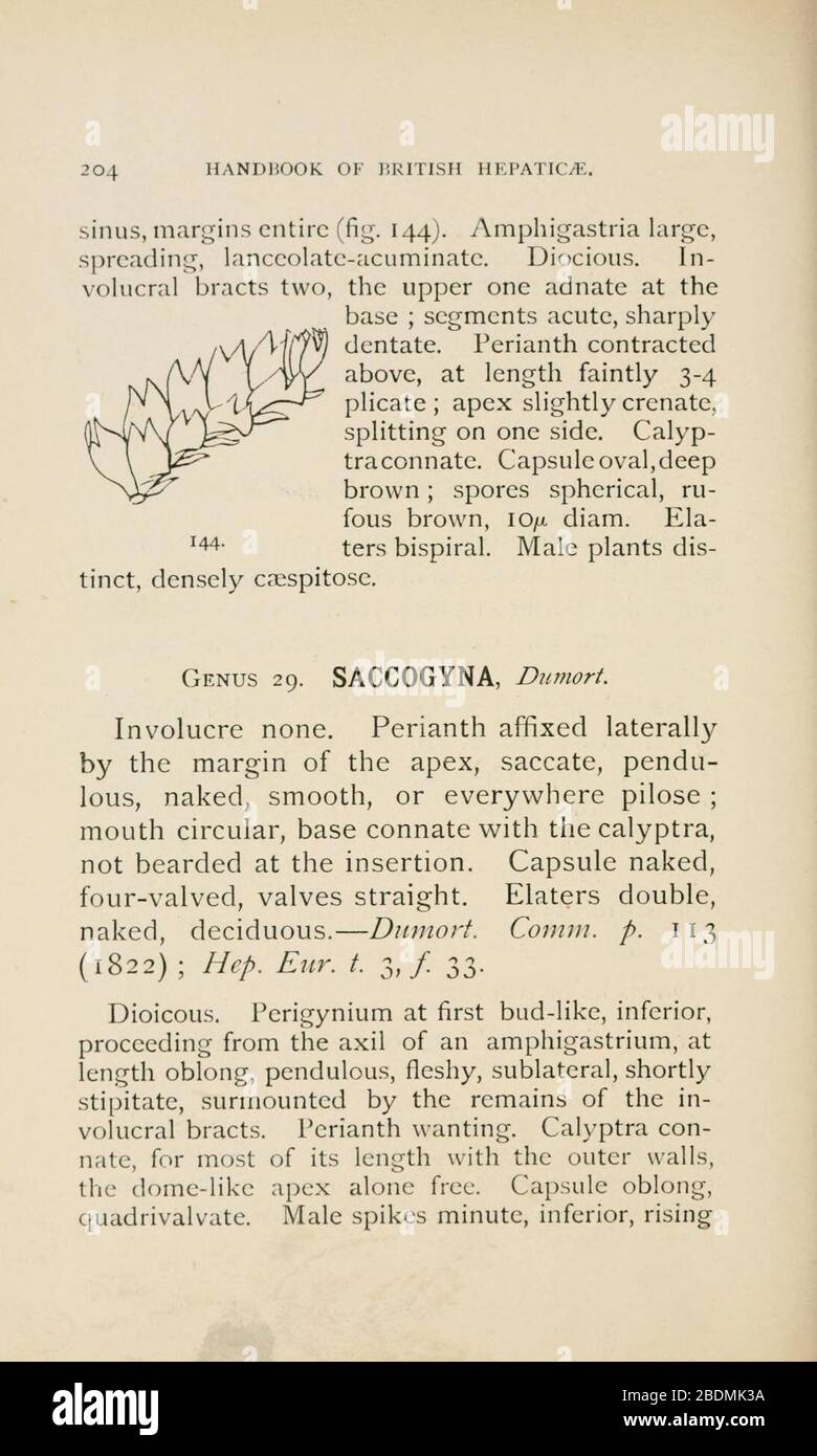 Handbook of British Hepatic containing descriptions and figures of the indigenous species of Marchantia, Jungermannia, Riccia, and Anthoceros (Page 204) Stock Photo