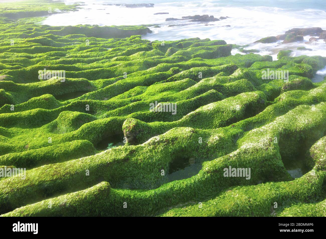 Laomei Green Reef New Hi res Stock Photography And Images Alamy laomei-green-reef-new-hi-res-stock-photography-and-images-alamy