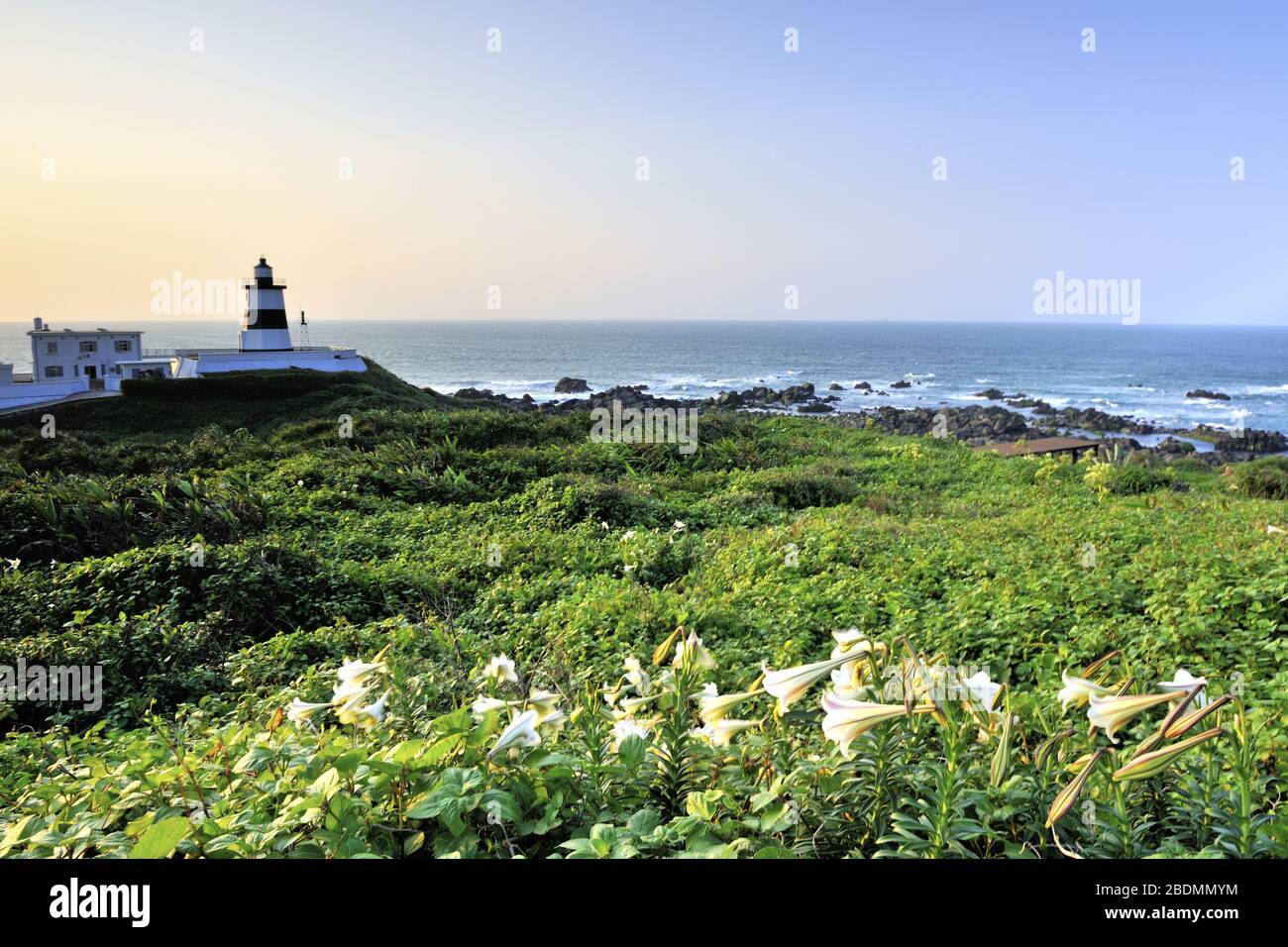 Fuguijiao Lighthouse and Taiwan lily in New Taipei City Taiwan Stock Photo